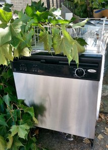 C360_2014-08-31-13-06-11-043-1